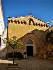 by treefrog, Views[134]