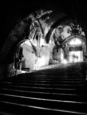 by treefrog, Views[224]