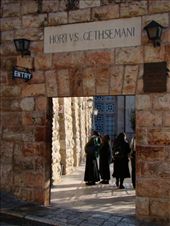 by treefrog, Views[153]