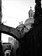 by treefrog, Views[160]