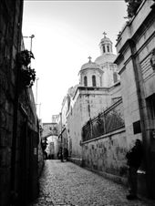 by treefrog, Views[206]