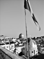 by treefrog, Views[145]