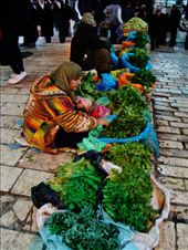 by treefrog, Views[190]