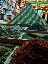 by treefrog, Views[423]