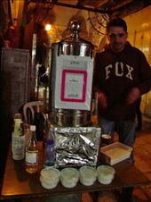 by treefrog, Views[391]