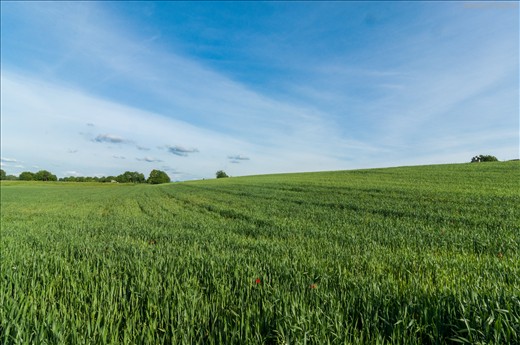 Huge farms sweeping across the huge landscapes presenting a mellow sight
