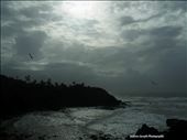 The last point in the northern eastern coast of Trinidad (Toco) : by trinidadandtobago, Views[200]