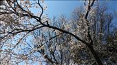 by trinity773, Views[202]