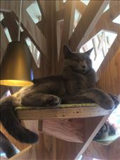 by trinity773, Views[108]