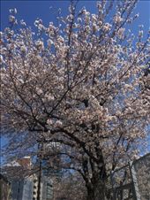 by trinity773, Views[115]