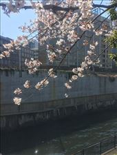 by trinity773, Views[126]