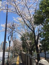 by trinity773, Views[124]