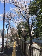 by trinity773, Views[129]