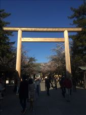 by trinity773, Views[248]