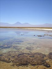 by triphappens, Views[197]