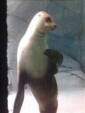 Zoologico de Chapultepec: by triphappens, Views[349]