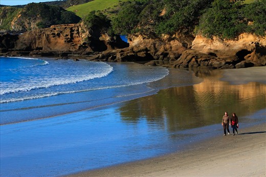 The coastline is never ending and waiting to be explored.  Some of these rock formations have fossils in them from the Jurassic period.  Year round recreational activities sit comfortably side by side with a successful conservation programme where many of New Zealand's endangered birds, reptiles and insects thrive.