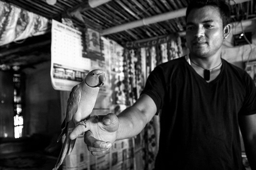 Biden, who lives with seven family members in a small hut in the Damak refugee camp, and his best friend for the last 16 years, the parrot Gobi. Gobi can speak, but only answers Biden, and as there is no heating or insulation in their home, Biden and Gobi share the same bed during the winter to keep the small bird warm.