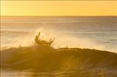 Tim carving it up on the waves as the sun rises behind him: by trojan_worrior, Views[289]