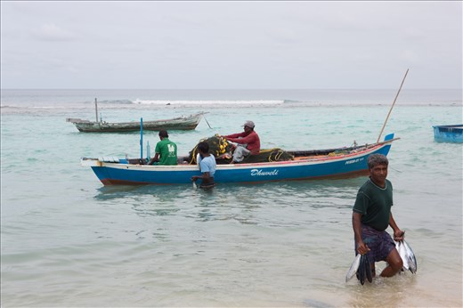 fisherman carrying tunas just catched