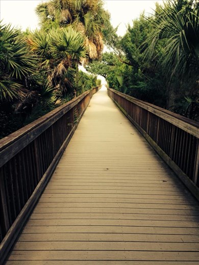 You can only guess what is the end of your way. (St. Augustine)