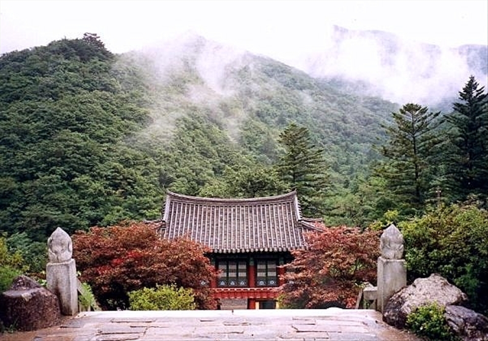 Mist over Buddhist temple. While living in South Korea, I visited a few Buddhist temples. This one shot is amazing to me because I remembered hiking up the hill with umbrellas since it was pouring rain. By the time we reached the top, the rain stopped and the mist was placed over the temple. I just had to take that picture.