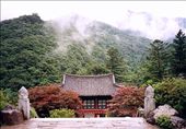 Mist over Buddhist temple. While living in South Korea, I visited a few Buddhist temples. This one shot is amazing to me because I remembered hiking up the hill with umbrellas since it was pouring rain. By the time we reached the top, the rain stopped and the mist was placed over the temple. I just had to take that picture.: by trotamundos_2202, Views[657]