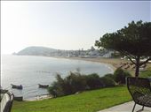 Green Tunis: by try2learn, Views[205]