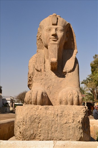sphinx at Sakkara, Egypt
