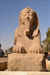 sphinx at Sakkara, Egypt: by tsabit, Views[537]