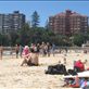 Manly beach: by ttmcote35, Views[170]