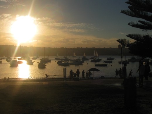 manly warf at sunset for a picnic