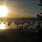 manly warf at sunset for a picnic: by ttmcote35, Views[203]
