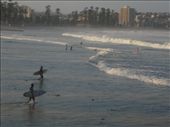 Manly beach has some dedicated surfers who mostly come out around 6ish after work when the sea allows.: by ttmcote35, Views[228]