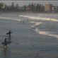 Manly beach has some dedicated surfers who mostly come out around 6ish after work when the sea allows.: by ttmcote35, Views[213]