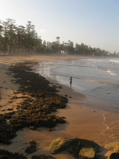 Manly beach at high tide