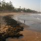 Manly beach at high tide: by ttmcote35, Views[217]