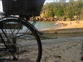Shelly beach and its basket bearing bicycles is very quaint.: by ttmcote35, Views[206]