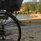 Shelly beach and its basket bearing bicycles is very quaint.: by ttmcote35, Views[194]
