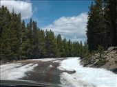 by tuntita_nititsopon, Views[96]