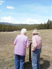 by tuntita_nititsopon, Views[114]