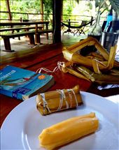 Maissijauhoista keitetty lehteen kääritty panamalaisherkku bollo.: by tuulikki, Views[1566]