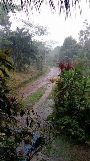 Tyypillinen iltapäivänäkymä sadekautena.