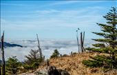 Golden Fields Up High: by two_fivefour, Views[307]