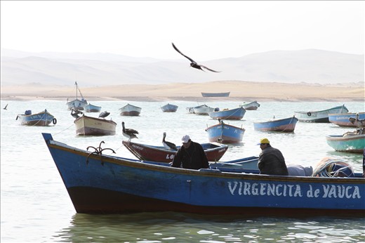 Fishermen are working