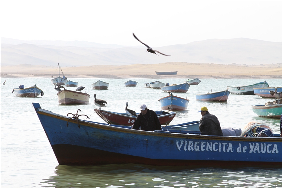 Fishermen are working