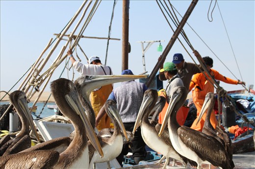 They arrived to the port