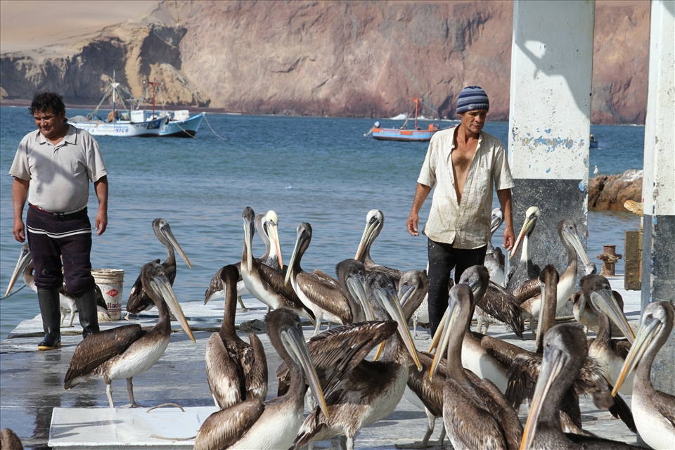 But they are not alone