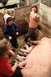 Farmer and her grandchildren.: by tyntarev, Views[211]