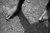 After this child has walked all morning to gather fresh water his feet almost blend into the backdrop of the cracked earth.: by uganda, Views[1261]